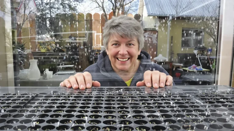Ce que les jardiniers sèment en février pour tout réussir en avril : la liste de graines à ne surtout pas oublier cette année Ce que les jardiniers sèment en février pour tout réussir en avril : la liste de graines à ne surtout pas oublier cette année