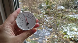 Cette date clé à partir de laquelle il faut commencer à diminuer le nourrissage des oiseaux