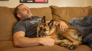Pour ne pas être séparé du Malinois qui l’accompagnait en mission, ce maître-chien l’adopte et lui offre une douce retraite bien méritée